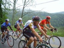 Front Group